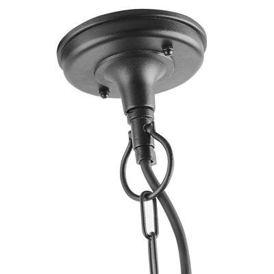 Biard Adjustable Chain Pendant Lamp Lighting True Shopping   