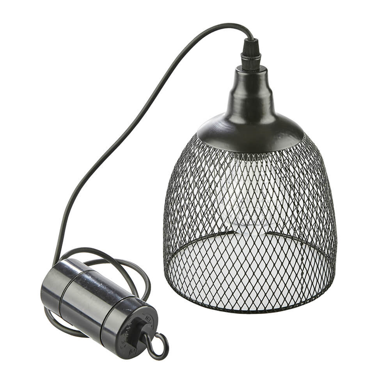 Black Metal Lantern with Edison Bulb Lighting True Shopping   